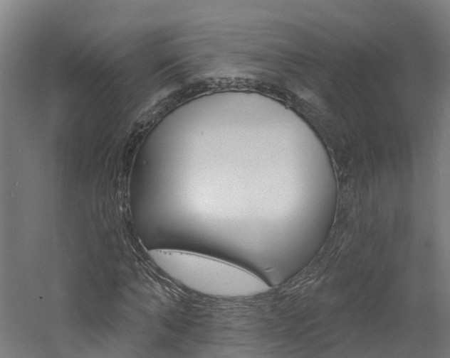 X0000060790870200511101031