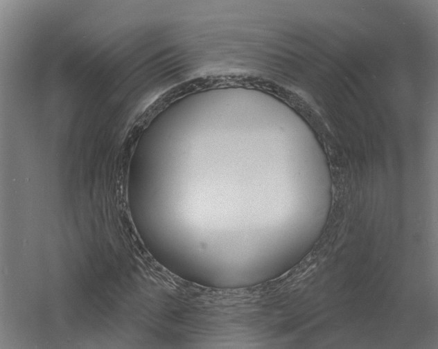 X0000060790871200511101031