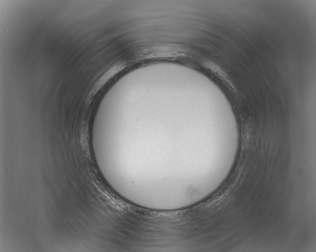 X0000060790874200511101031