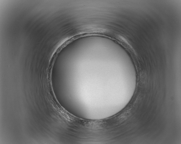 X0000060790875200511101031