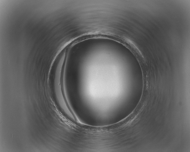 X0000060790876200511101031