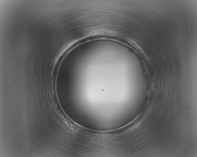 X0000060790877200511101031