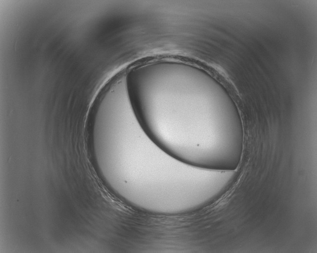 X0000060790879200511101031