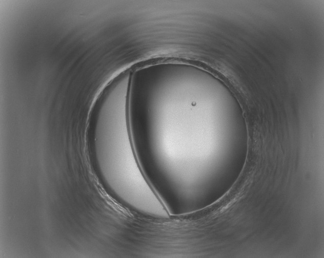 X0000060790880200511101031