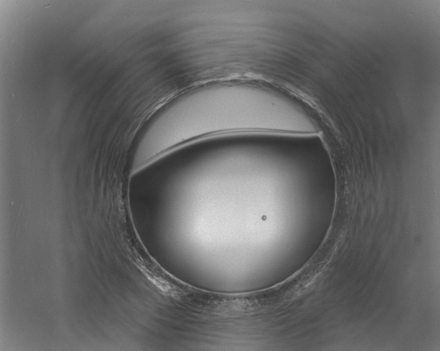 X0000060790881200511101031