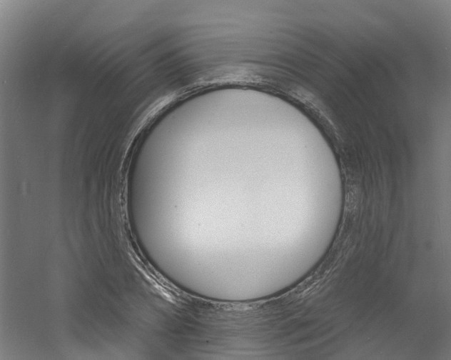 X0000060790882200511101031