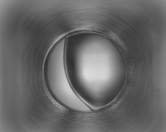 X0000060790884200511101031