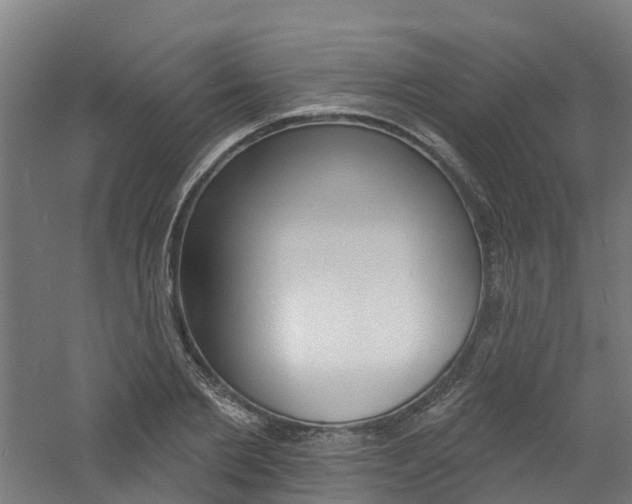 X0000060790885200511101031