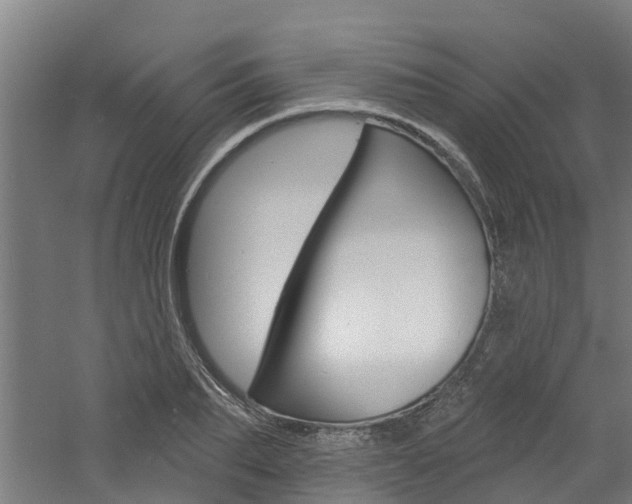 X0000060790887200511101031