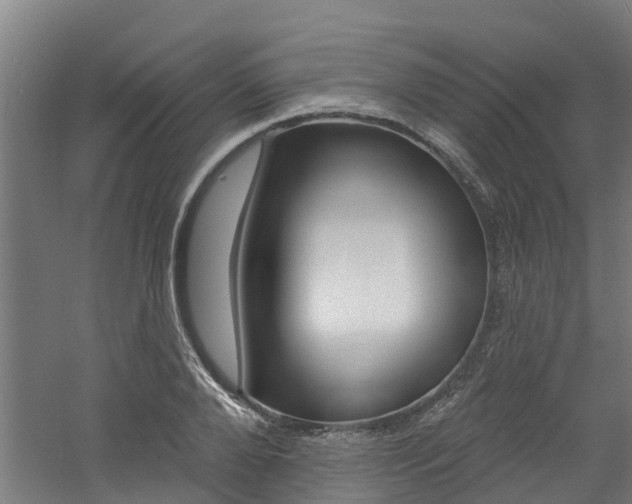 X0000060790888200511101031