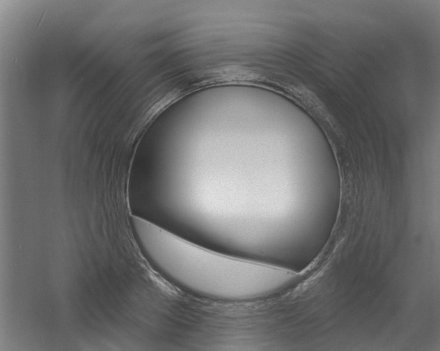 X0000060790889200511101031