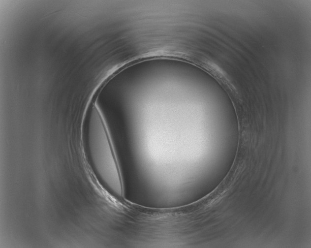 X0000060790892200511101031