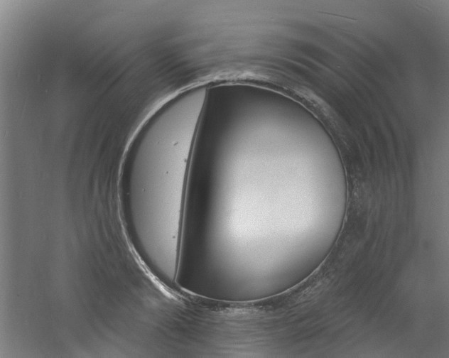 X0000060790894200511101031