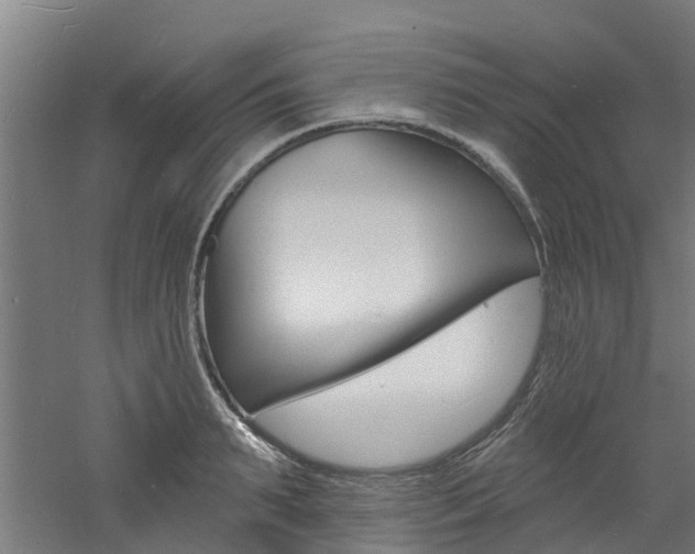 X0000060790895200511101031