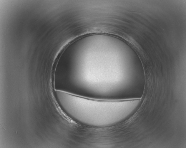 X0000060790896200511101031