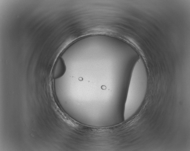 X0000060790899200511101031