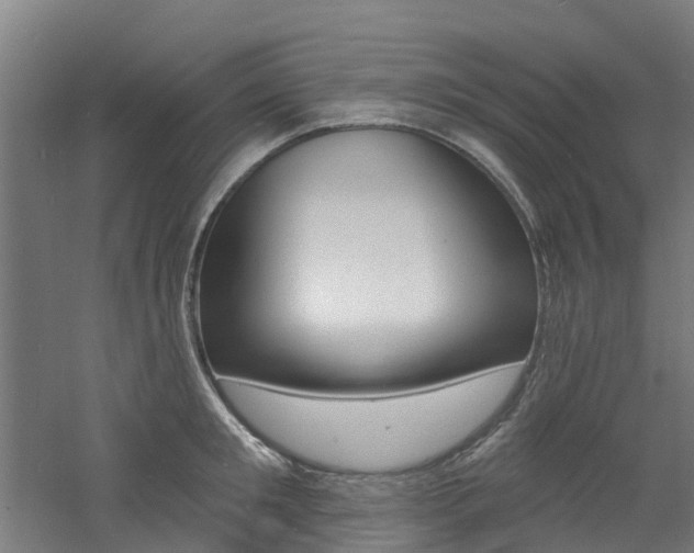 X0000060790901200511101031