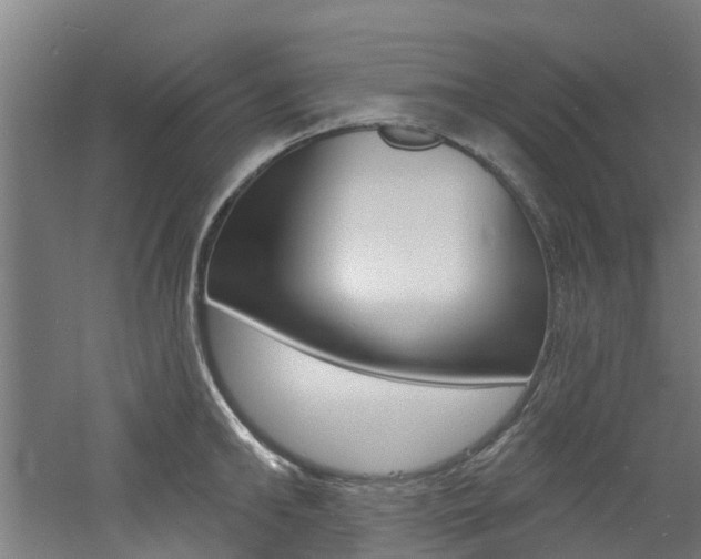 X0000060790902200511101031