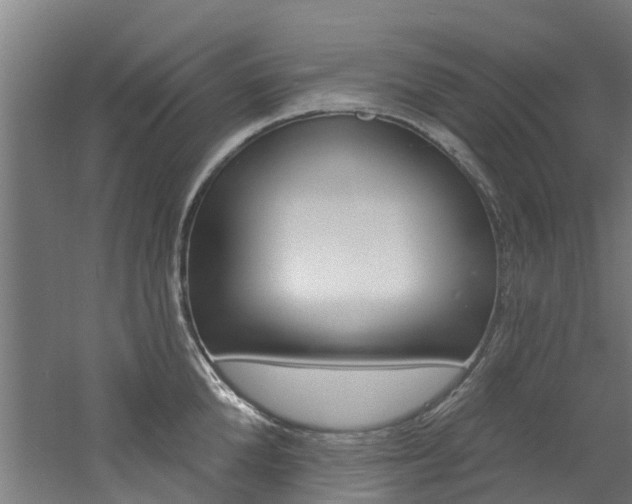 X0000060790904200511101031