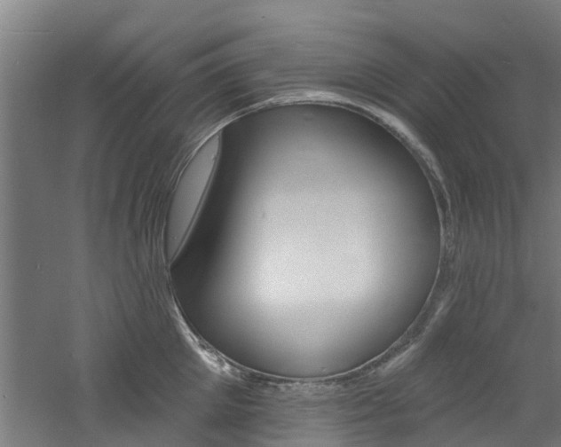 X0000060790905200511101031