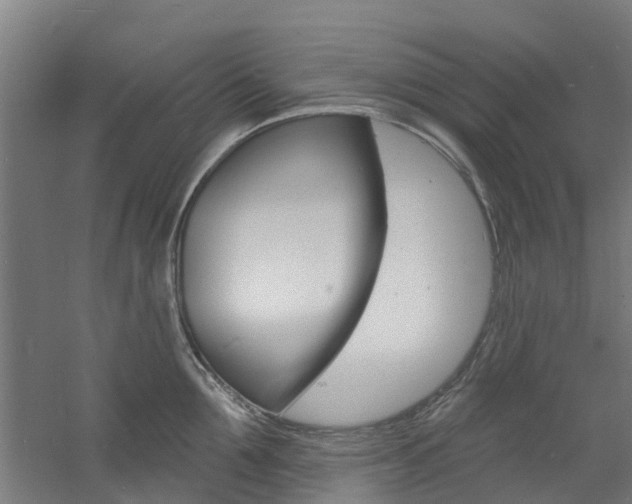 X0000060790907200511101031