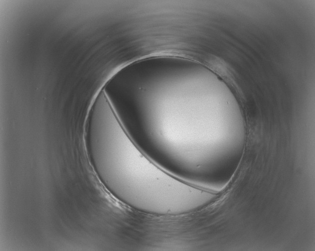 X0000060790908200511101031