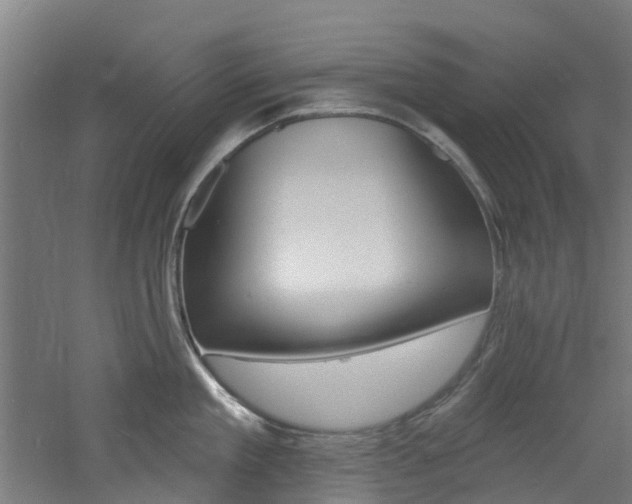 X0000060790909200511101031