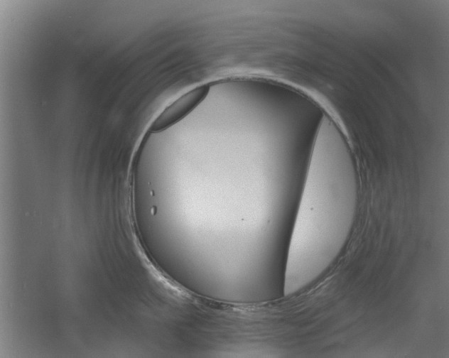 X0000060790911200511101031