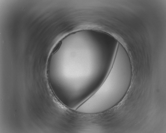 X0000060790912200511101031