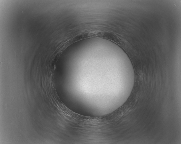 X0000060790914200511101030