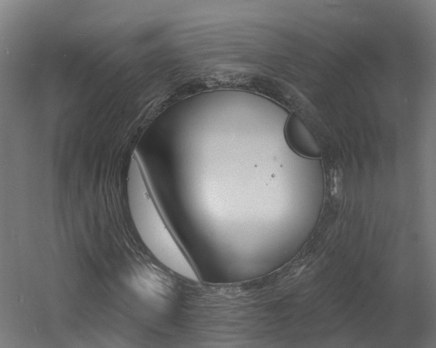 X0000060790915200511101030