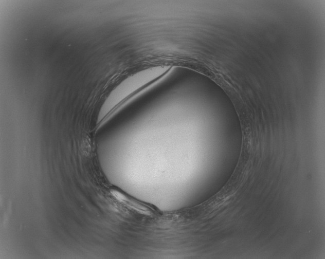 X0000060790916200511101030