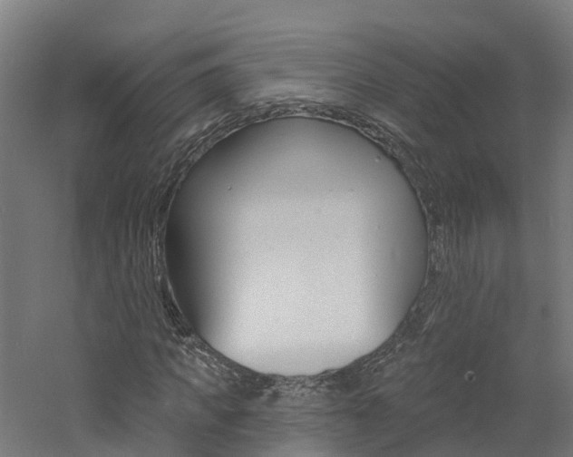 X0000060790917200511101030