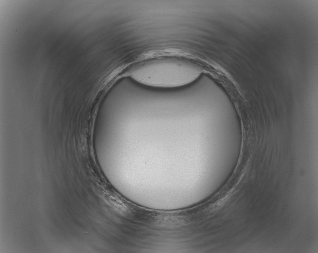 X0000060790921200511101030