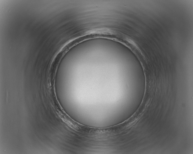 X0000060790923200511101030