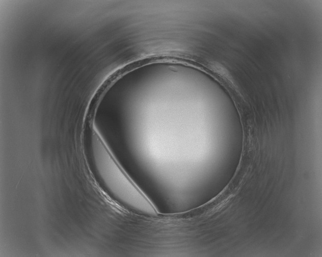 X0000060790924200511101030