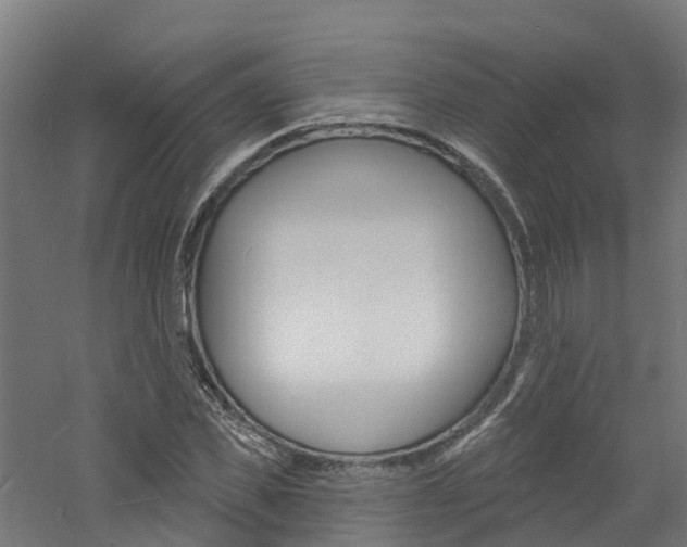 X0000060790925200511101030