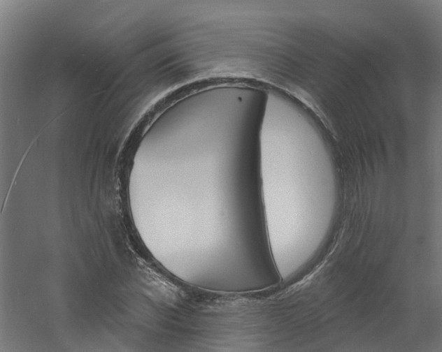 X0000060790926200511101030