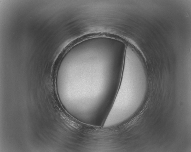 X0000060790927200511101030