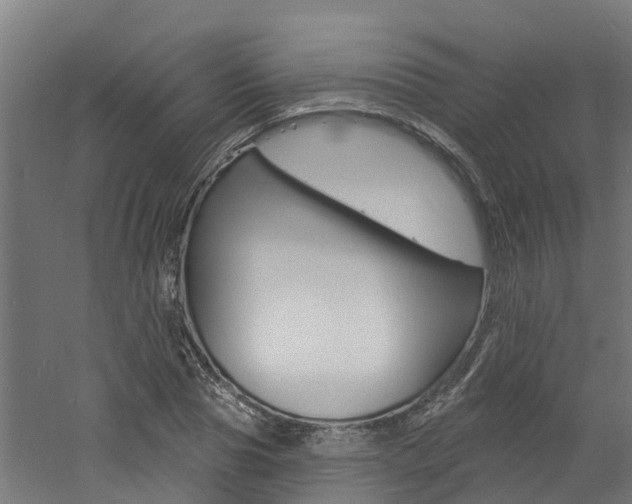 X0000060790929200511101030