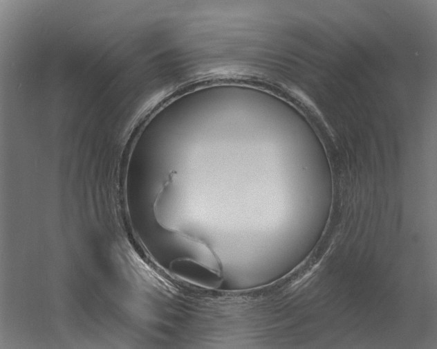 X0000060790930200511101030