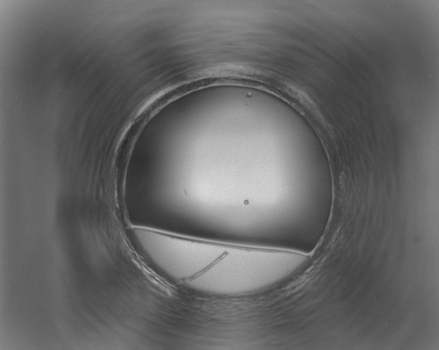 X0000060790931200511101030