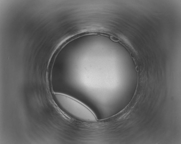 X0000060790932200511101030