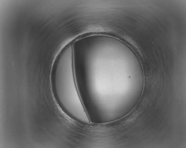 X0000060790935200511101030