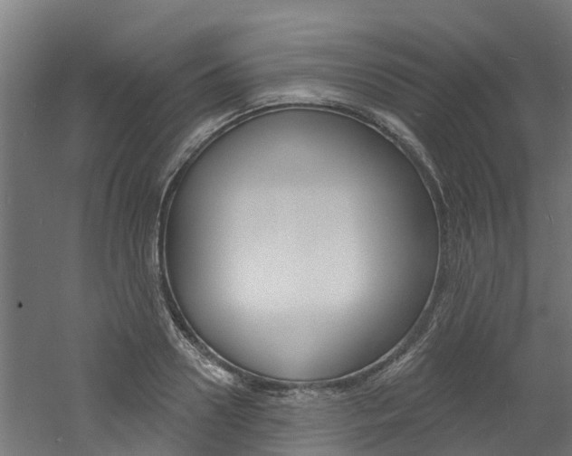 X0000060790938200511101030