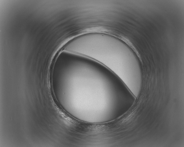 X0000060790939200511101030