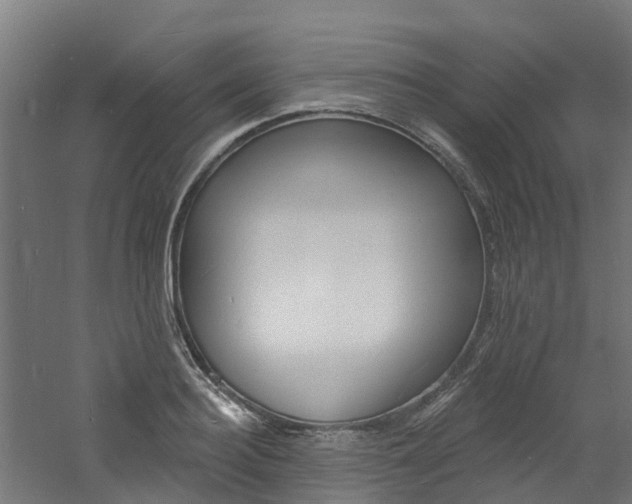 X0000060790940200511101030