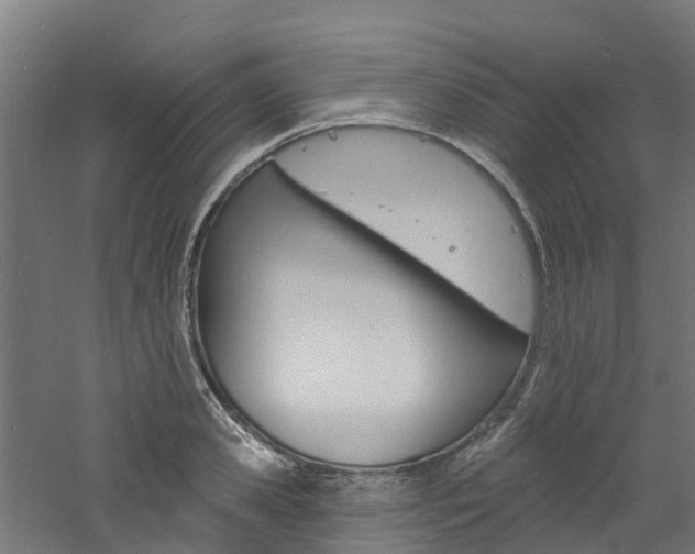 X0000060790941200511101030