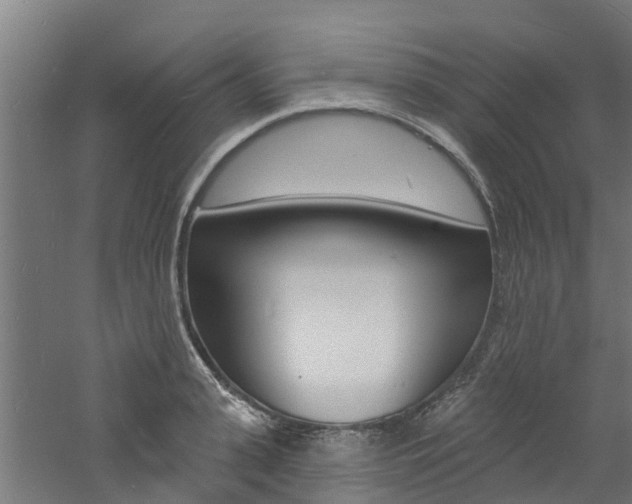 X0000060790943200511101030