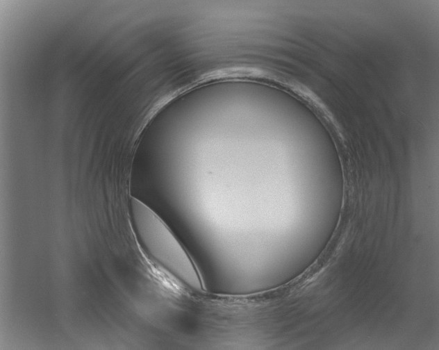 X0000060790945200511101030